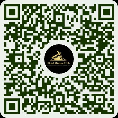 Wise payment QR code